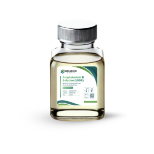 Amphotericin B Solution (100x)