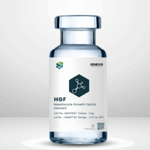 Hepatocyte Growth Factor- HGF (Human)
