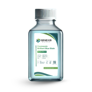 Coomassie Brilliant Blue Stain