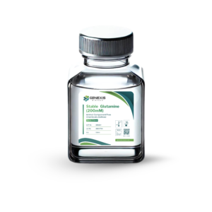 Stable Glutamine (200mM)
