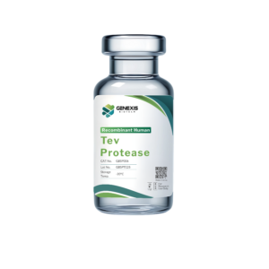 Recombinant Tev Protease (rTev)