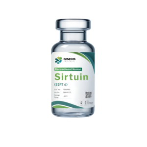 Sirtuin (SIRT 6)