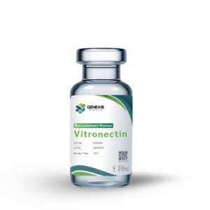 Vitronectin