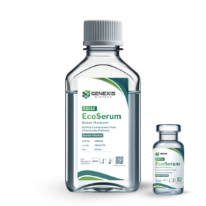 C2C12 - Broad Application Lines