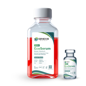 VERO - The Vaccine Workhorse