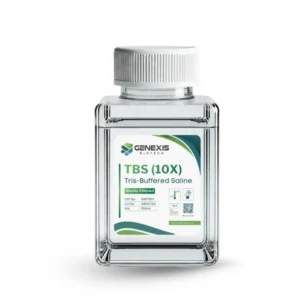 Reagents For Western Blot